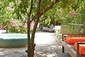 Alyssa's Garden Home