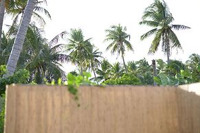 Alyssa's Garden Home