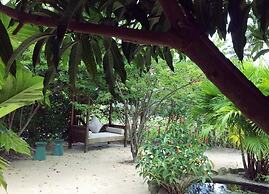 Alyssa's Garden Home