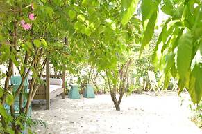 Alyssa's Garden Home