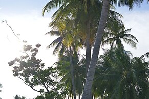 Alyssa's Garden Home