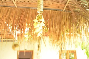 Alyssa's Garden Home