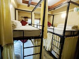 Hotel Forest Lake Backpackers' Hostel