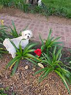 Redtail Ridge Cottages - Adults Only