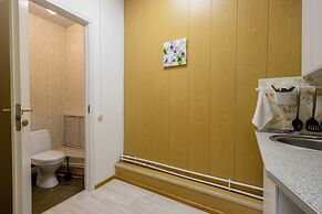 Studio apartment on Chapygina