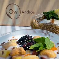 OW Andros - Luxury Suites