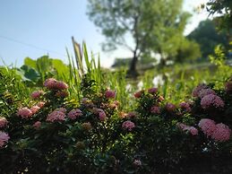 Moe Yun Gyi Wetlands Resort