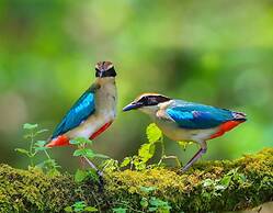 Sun Moon Lake FRIDAY Inn Guest House