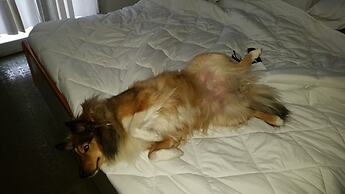 Hotel Villa del Sole