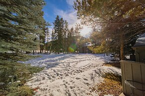 Flying Dutchman 1174