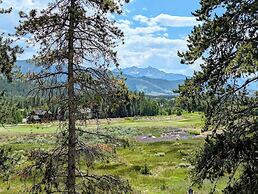 Pines 2169