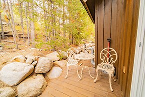 Cabin in the Pines 4