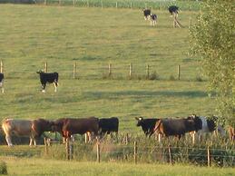 t Hooghe Licht Bed & Breakfast