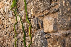DreamLike Villas Mykonos