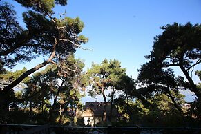 Kosk Orman Butik Otel