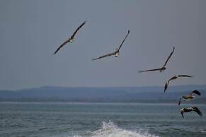 Casa Patricia Gran Pacifica Resort