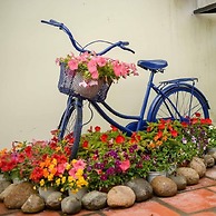 Bonjour Homestay - Hostel