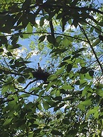 Nunu Haus Guest House