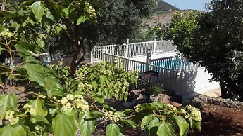 Lavender Villa In The Mountains