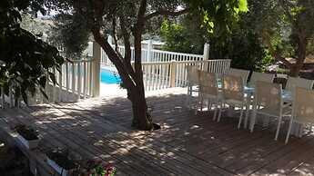 Lavender Villa In The Mountains