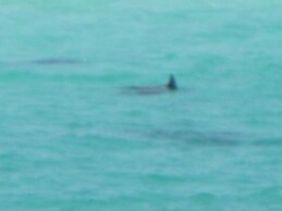 Beach House Condos by Crystal Waters