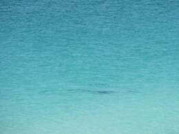 Beach House Condos by Crystal Waters