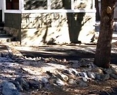 Hicksville Pines Chalets & Motel