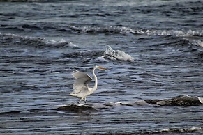 Suite San Marcos 124 Gran Pacifica Resort