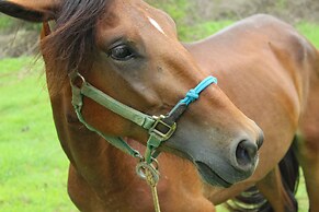 Suite San Marcos 124 Gran Pacifica Resort