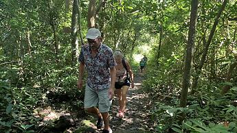 Gibbon Singing Homestay