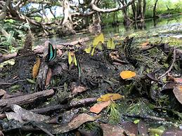 Gibbon Singing Homestay