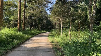 Gibbon Singing Homestay
