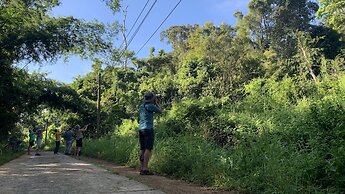 Gibbon Singing Homestay
