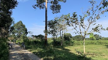 Gibbon Singing Homestay