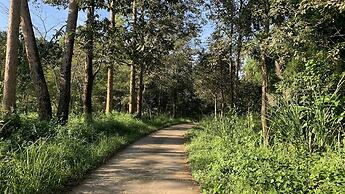 Gibbon Singing Homestay