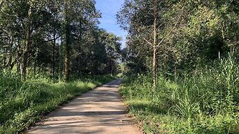 Gibbon Singing Homestay
