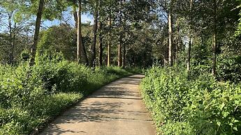 Gibbon Singing Homestay