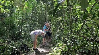 Gibbon Singing Homestay