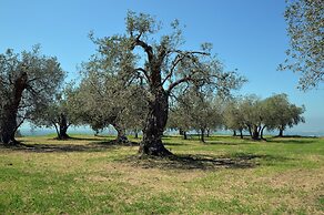 Antica Villa di Bruto