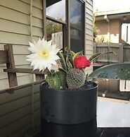 Port Campbell Guesthouse & Flash Packers