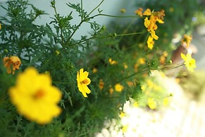 Mia's House - Hostel