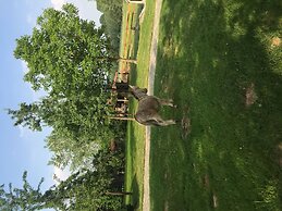 B&B Het Stille Genoegen