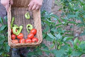 Signature Garden Avanos Hotel & Spa