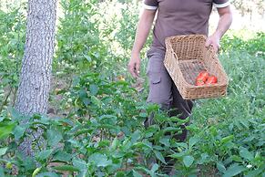 Signature Garden Avanos Hotel & Spa