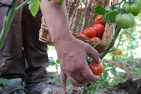 Signature Garden Avanos Hotel & Spa