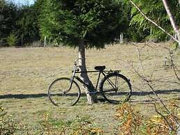 Cabana Ruminot Para 5 Personas.pucon