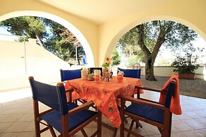 Alfa Est Bilo sul Mare