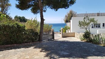 Alfa Est Bilo sul Mare