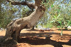 Cavaliere Lovely Pool Home