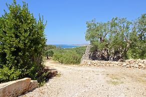 Ulivi Pasuli Rare View e Privacy